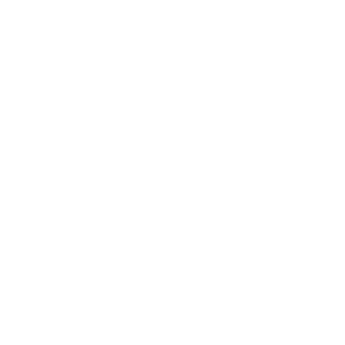 brain1